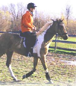 Lisa riding her horse Cody